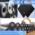 Fish Farm Teich Liner HDPE Geomembrane